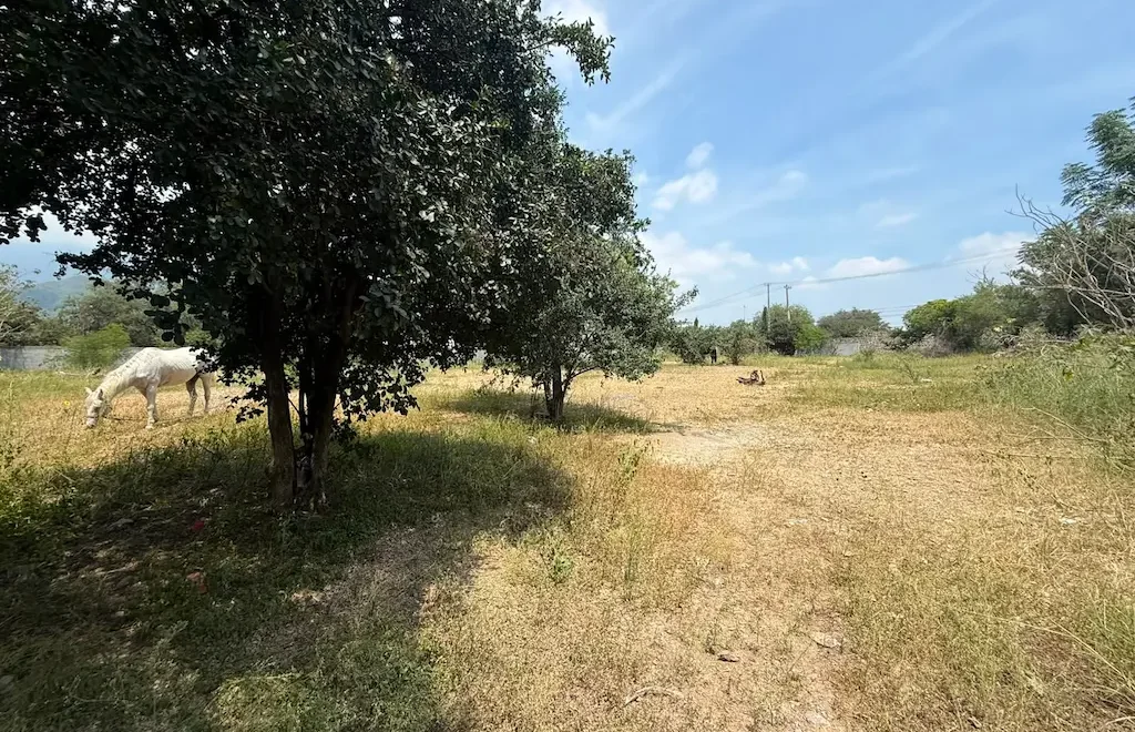 terreno en venta los cristales