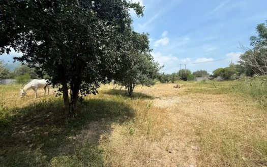 Terreno en Venta Los Cristales Monterrey, N.L.
